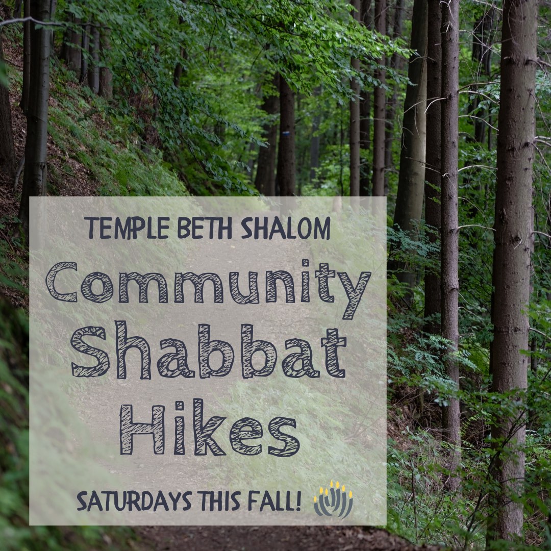Shabbat Community Hikes (photo of trees with title of program)